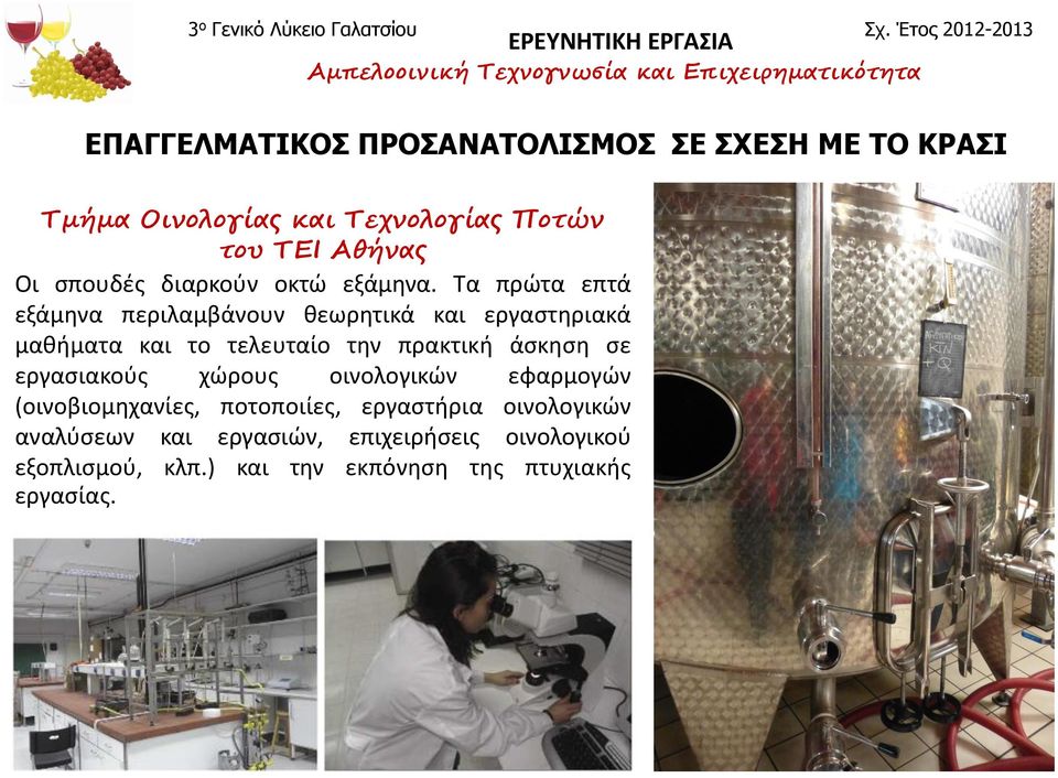 Τα πρώτα επτά εξάμηνα περιλαμβάνουν θεωρητικά και εργαστηριακά μαθήματα και το τελευταίο την πρακτική άσκηση σε