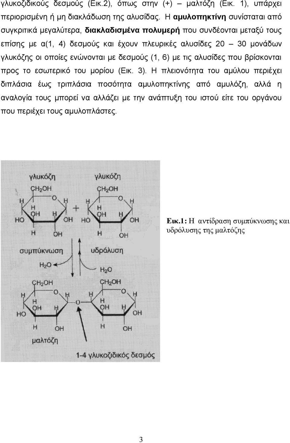 μονάδων γλυκόζης οι οποίες ενώνονται με δεσμούς (1, 6) με τις αλυσίδες που βρίσκονται προς το εσωτερικό του μορίου (Εικ. 3).