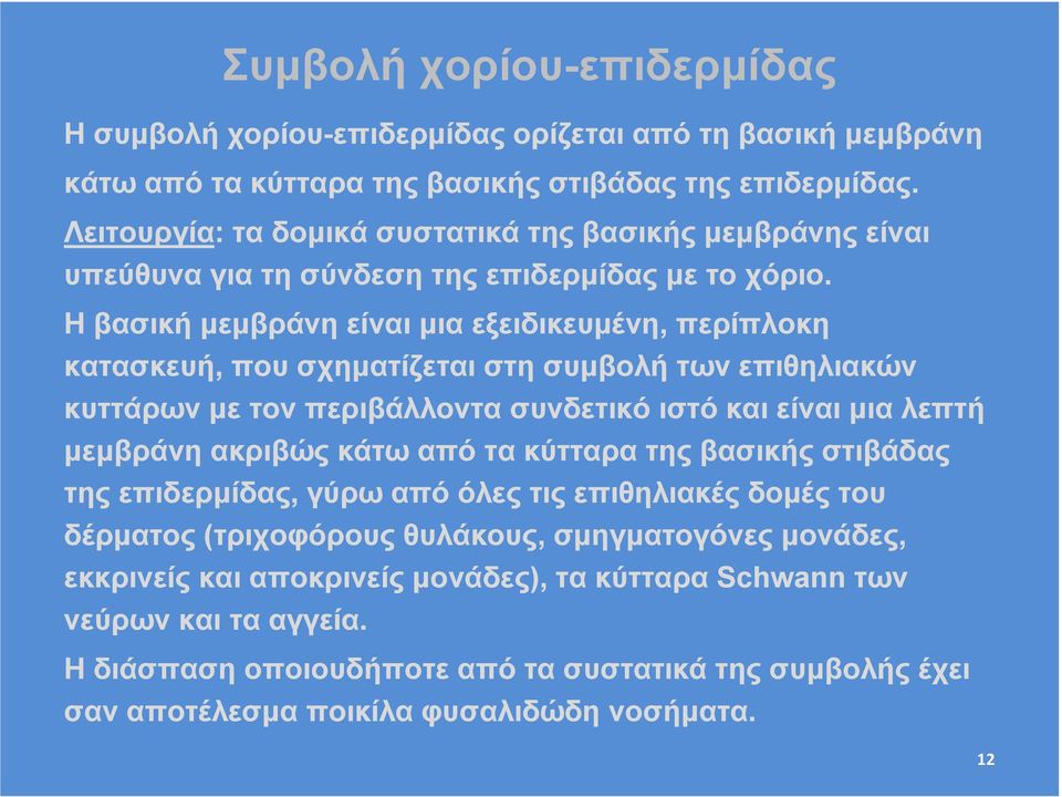 Η βασική µεµβράνη είναι µια εξειδικευµένη, περίπλοκη κατασκευή, που σχηµατίζεται στη συµβολή των επιθηλιακών κυττάρων µε τον περιβάλλοντα συνδετικό ιστό και είναι µια λεπτή µεµβράνη ακριβώς κάτω