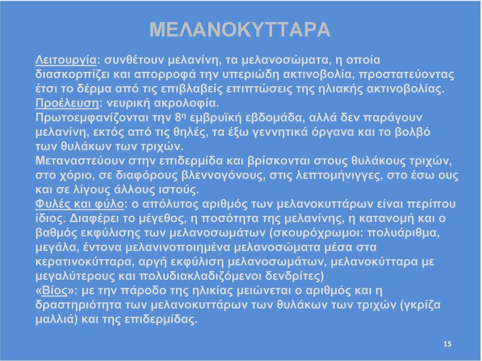 Μεταναστεύουν στην επιδερµίδα και βρίσκονται στους θυλάκους τριχών, στο χόριο, σε διαφόρους βλεννογόνους, στις λεπτοµήνιγγες, στο έσω ους και σε λίγους άλλους ιστούς.