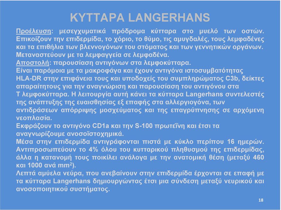 Αποστολή: παρουσίαση αντιγόνων στα λεµφοκύτταρα.