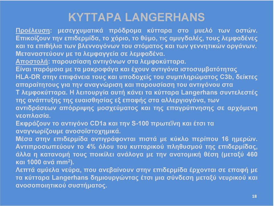 Αποστολή: παρουσίαση αντιγόνων στα λεµφοκύτταρα.