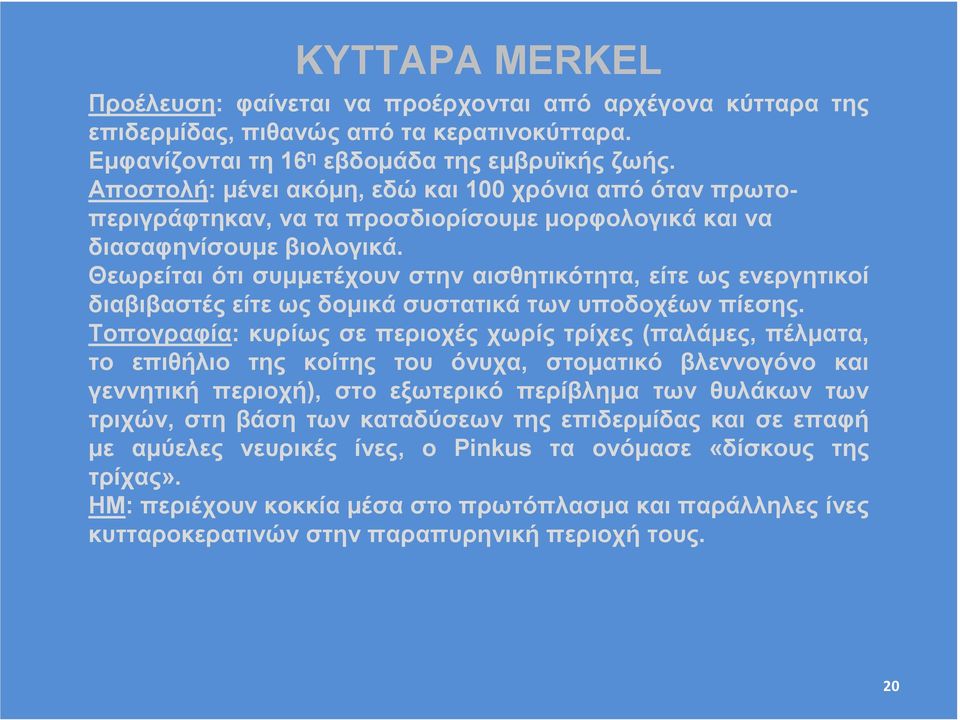 Θεωρείται ότι συµµετέχουν στην αισθητικότητα, είτε ως ενεργητικοί διαβιβαστές είτε ως δοµικά συστατικά των υποδοχέων πίεσης.