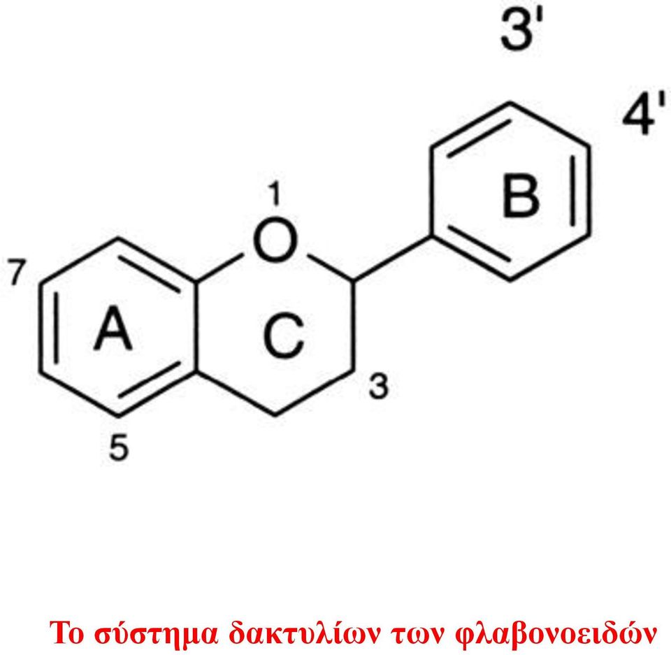 δακτυλίων