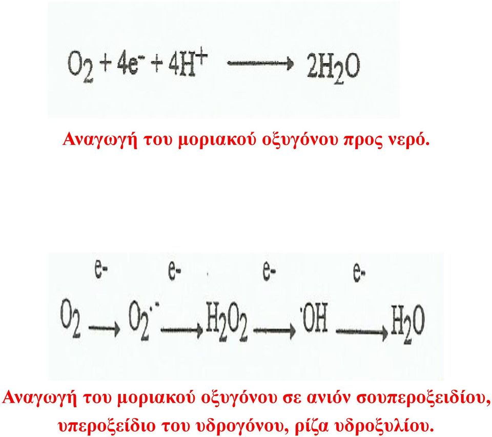 οξυγόνου σε ανιόν σουπεροξειδίου,