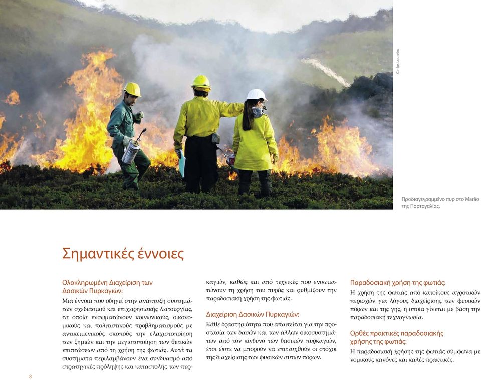 οικονομικούς και πολιτιστικούς προβληματισμούς με αντικειμενικούς σκοπούς την ελαχιστοποίηση των ζημιών και την μεγιστοποίηση των θετικών επιπτώσεων από τη χρήση της φωτιάς.