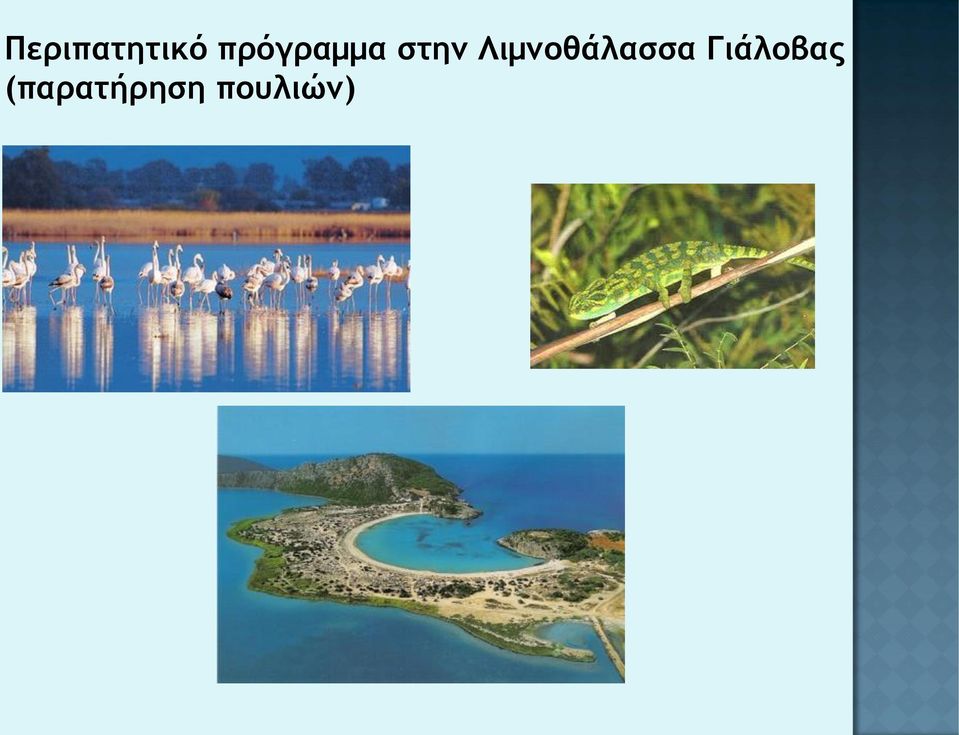 Λιμνοθάλασσα