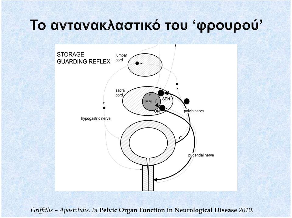 In Pelvic Organ