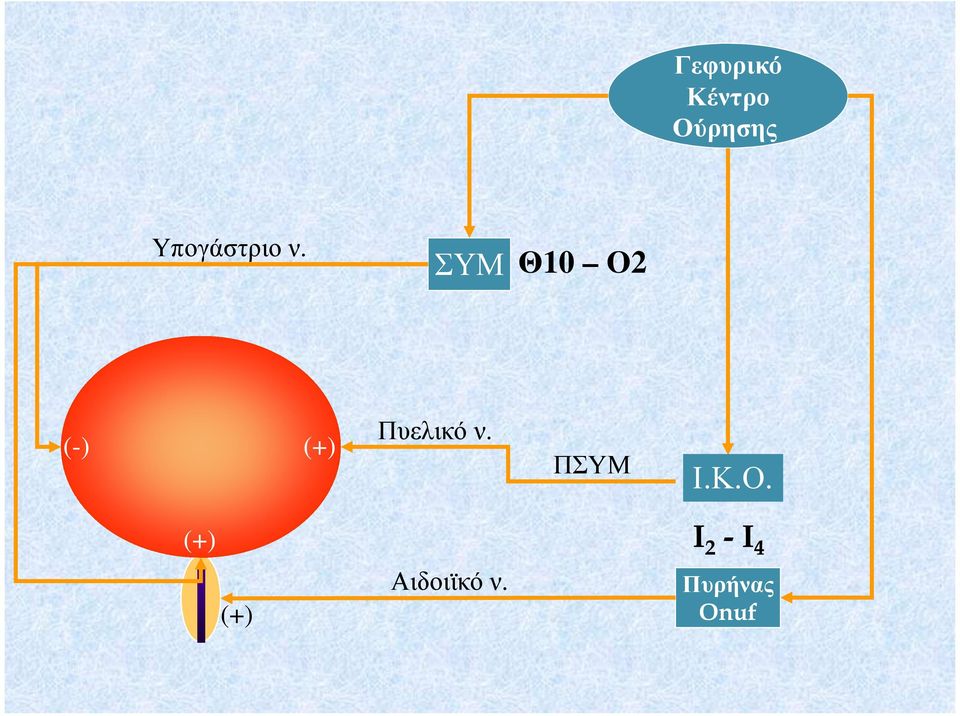 ΣΥΜ Θ10 Ο2 (-) (+) Πυελικό ν.