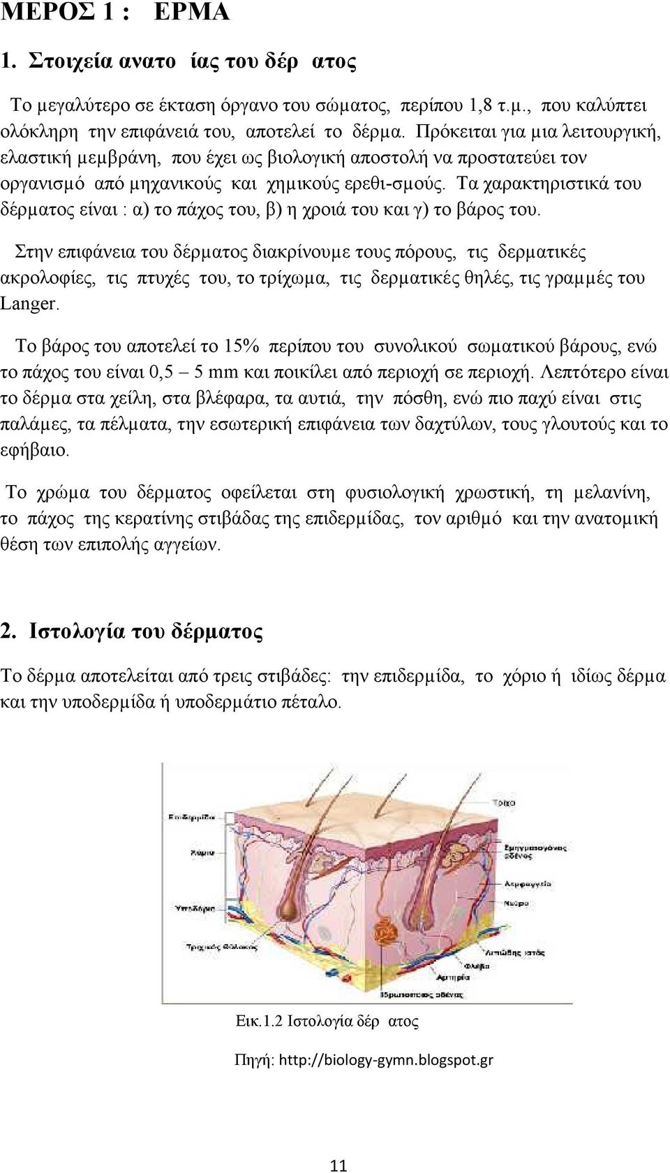 Τα χαρακτηριστικά του δέρµατος είναι : α) το πάχος του, β) η χροιά του και γ) το βάρος του.