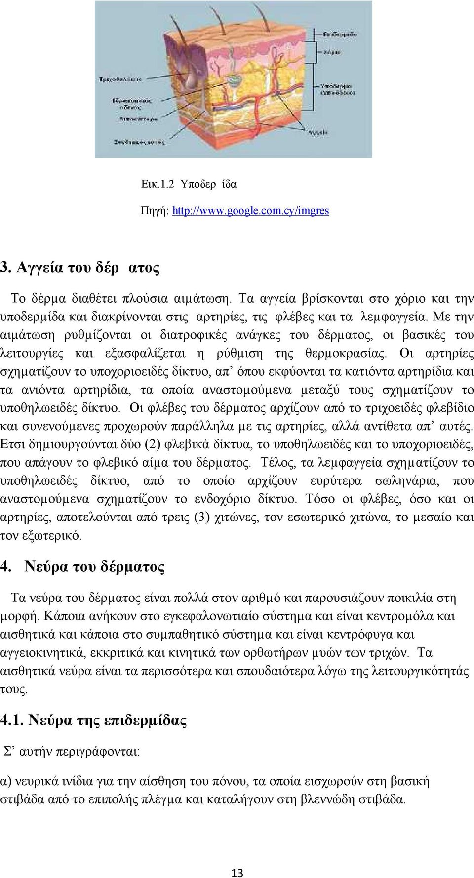 Με την αιµάτωση ρυθµίζονται οι διατροφικές ανάγκες του δέρµατος, οι βασικές του λειτουργίες και εξασφαλίζεται η ρύθµιση της θερµοκρασίας.