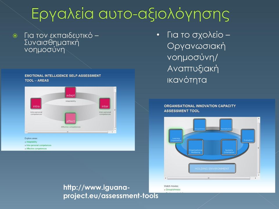 νοημοσύνη/ Αναπτυξιακή ικανότητα