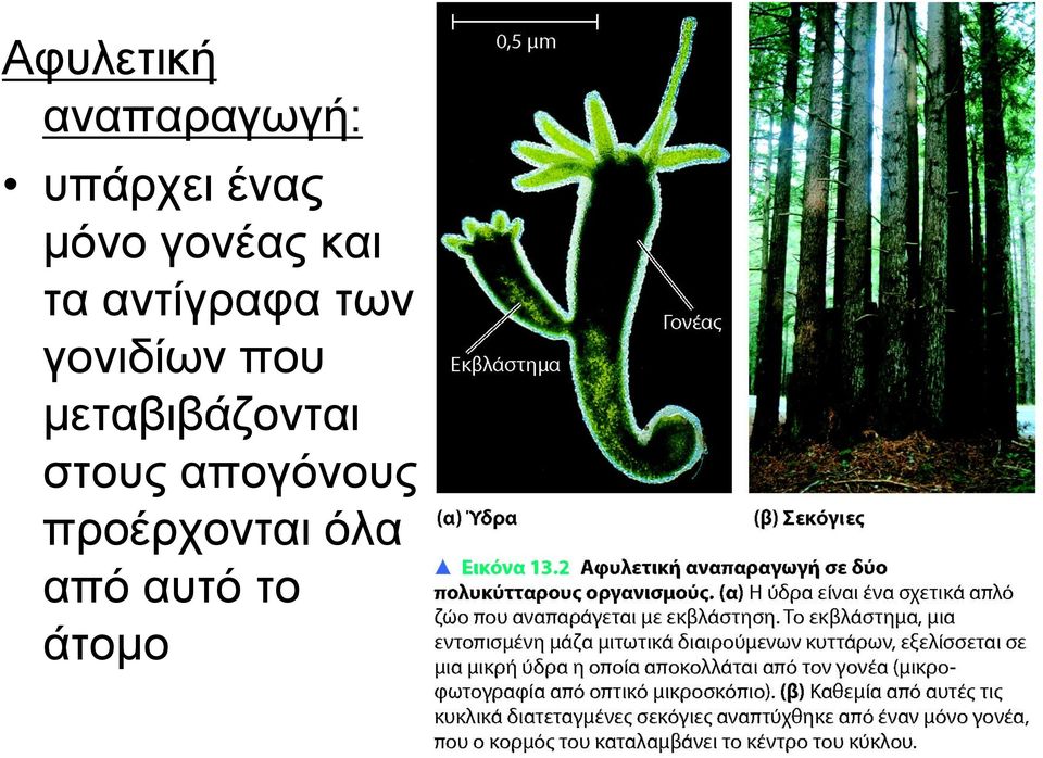 γονιδίων που μεταβιβάζονται στους