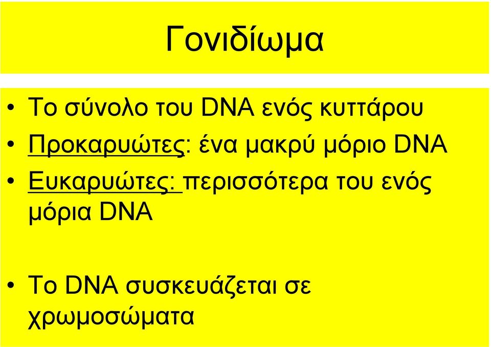 DNA Ευκαρυώτες: περισσότερα του ενός