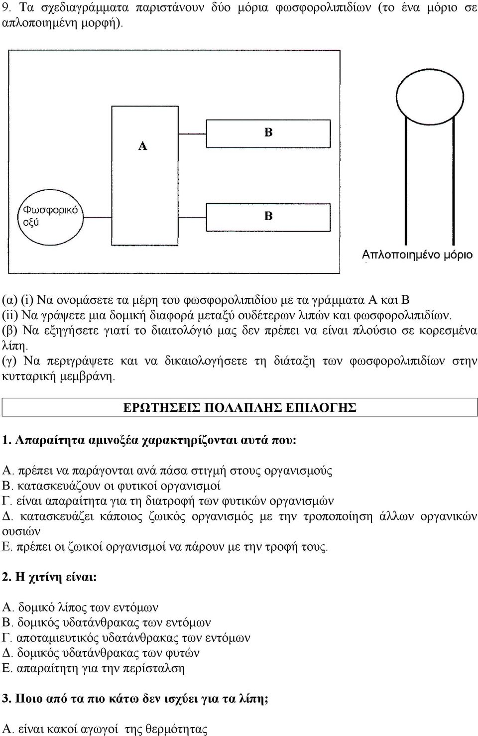 (β) Να εξηγήσετε γιατί το διαιτολόγιό μας δεν πρέπει να είναι πλούσιο σε κορεσμένα λίπη. (γ) Να περιγράψετε και να δικαιολογήσετε τη διάταξη των φωσφορολιπιδίων στην κυτταρική μεμβράνη.