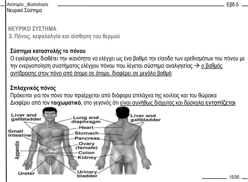 αντίδρασης στον πόνο από άτοµο σε άτοµο, διαφέρει σε µεγάλο βαθµό Σπλαχνικός πόνος Πρόκειται για τον πόνο που προέρχεται από