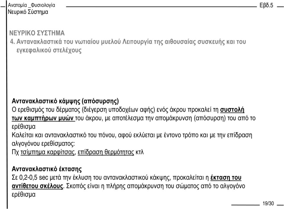 αντανακλαστικό του πόνου, αφού εκλύεται µε έντονο τρόπο και µε την επίδραση αλγογόνου ερεθίσµατος: Πχ τσίµπηµα καρφίτσας, επίδραση θερµότητας κτλ Αντανακλαστικό
