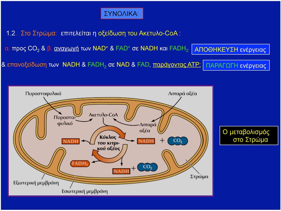 προς CO 2 & β.