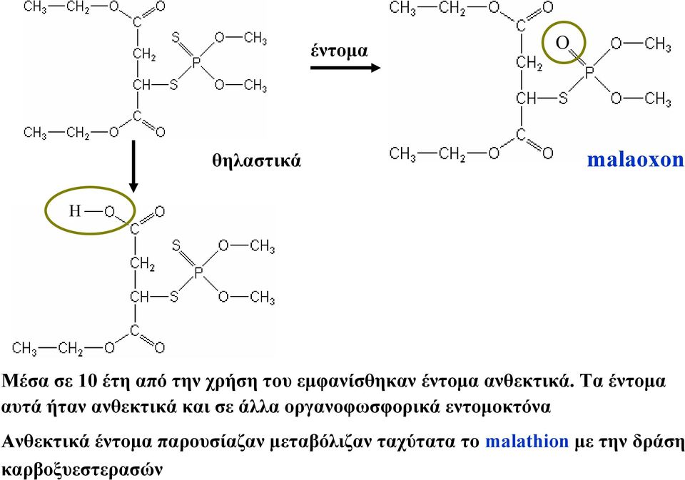 Τα έντομα αυτά ήταν ανθεκτικά και σε άλλα οργανοφωσφορικά