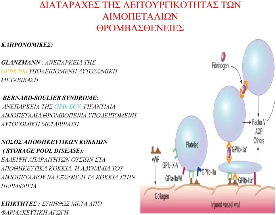 ΥΠΟΛΕΙΠΟΜΕΝΗ ΑΥΤΟΣΩΜΙΚΗ ΜΕΤΑΒΙΒΑΣΗ ΝΟΣΟΣ ΑΠΟΘΗΚΕΥΤΙΚΩΝ ΚΟΚΚΙΩΝ ( STORAGE POOL DISEASE): ΕΛΛΕΙΨΗ ΑΠΑΡΑΙΤΗΤΩΝ ΟΥΣΙΩΝ ΣΤΑ