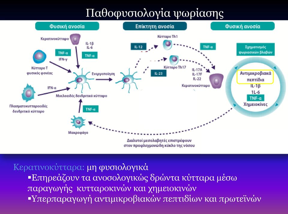 κύτταρα μέσω παραγωγής κυτταροκινών και