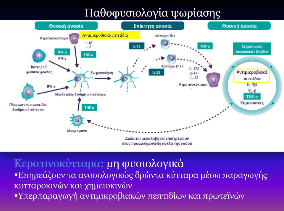ανοσολογικώς δρώντα κύτταρα μέσω παραγωγής