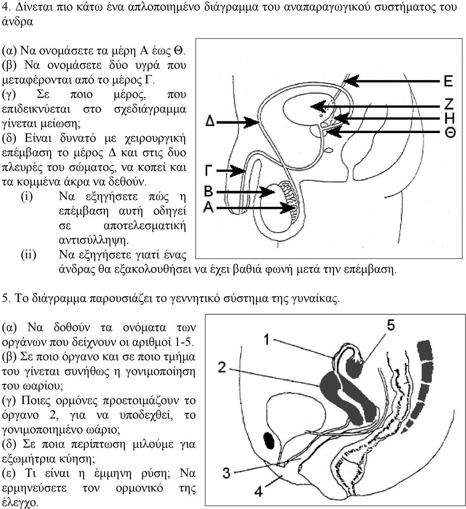 (i) Να εξηγήσετε πώς η επέμβαση αυτή οδηγεί σε αποτελεσματική αντισύλληψη. (ii) Να εξηγήσετε γιατί ένας άνδρας θα εξακολουθήσει να έχει βαθιά φωνή μετά την επέμβαση. 5.