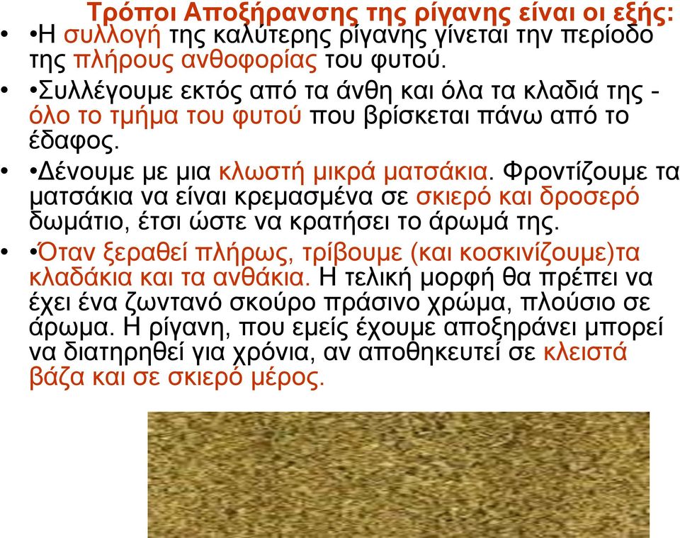 Φροντίζουμε τα ματσάκια να είναι κρεμασμένα σε σκιερό και δροσερό δωμάτιο, έτσι ώστε να κρατήσει το άρωμά της.