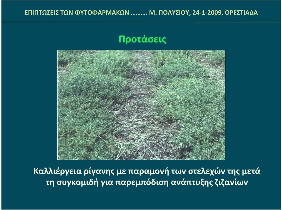 μετά τη συγκομιδή για