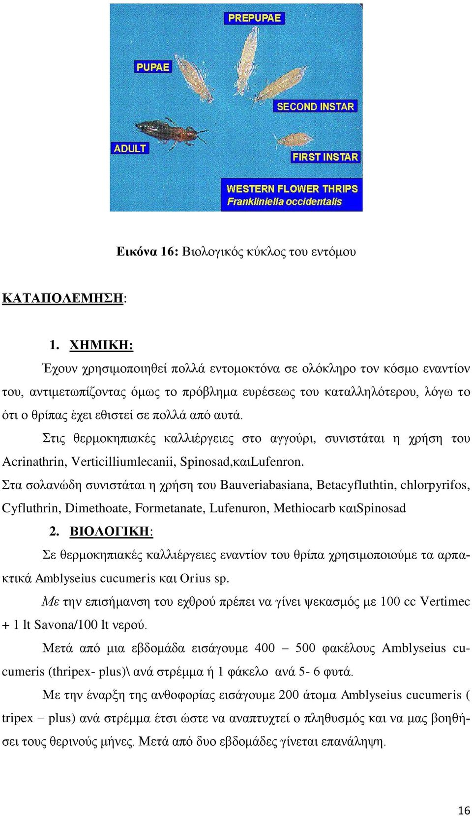 Στις θερμοκηπιακές καλλιέργειες στο αγγούρι, συνιστάται η χρήση του Acrinathrin, Verticilliumlecanii, Spinosad,καιLufenron.