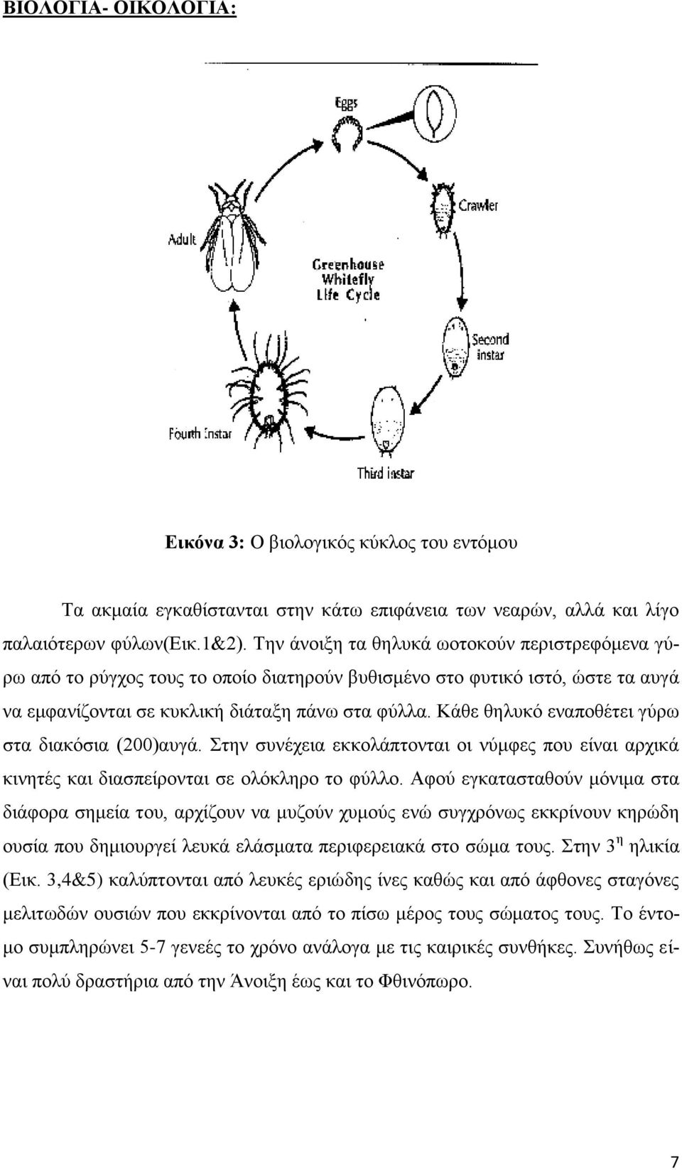 Κάθε θηλυκό εναποθέτει γύρω στα διακόσια (200)αυγά. Στην συνέχεια εκκολάπτονται οι νύμφες που είναι αρχικά κινητές και διασπείρονται σε ολόκληρο το φύλλο.