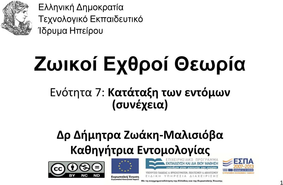 7: Κατάταξη των εντόμων (συνέχεια) Δρ