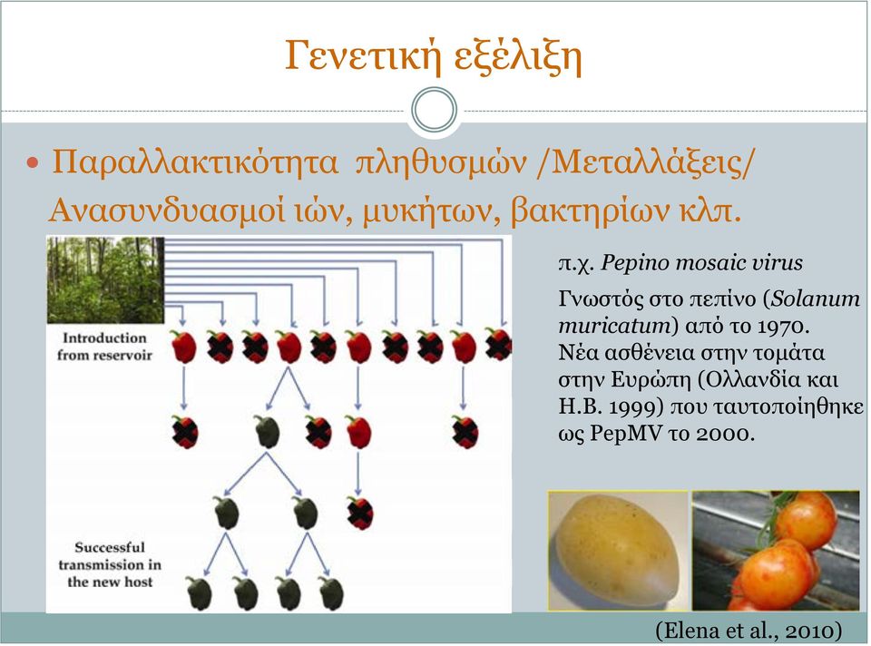 Pepino mosaic virus Γνωστός στο πεπίνο (Solanum muricatum) από το 1970.