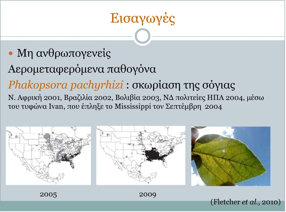 Αφρική 2001, Βραζιλία 2002, Βολιβία 2003, ΝΔ πολιτείες ΗΠΑ 2004,