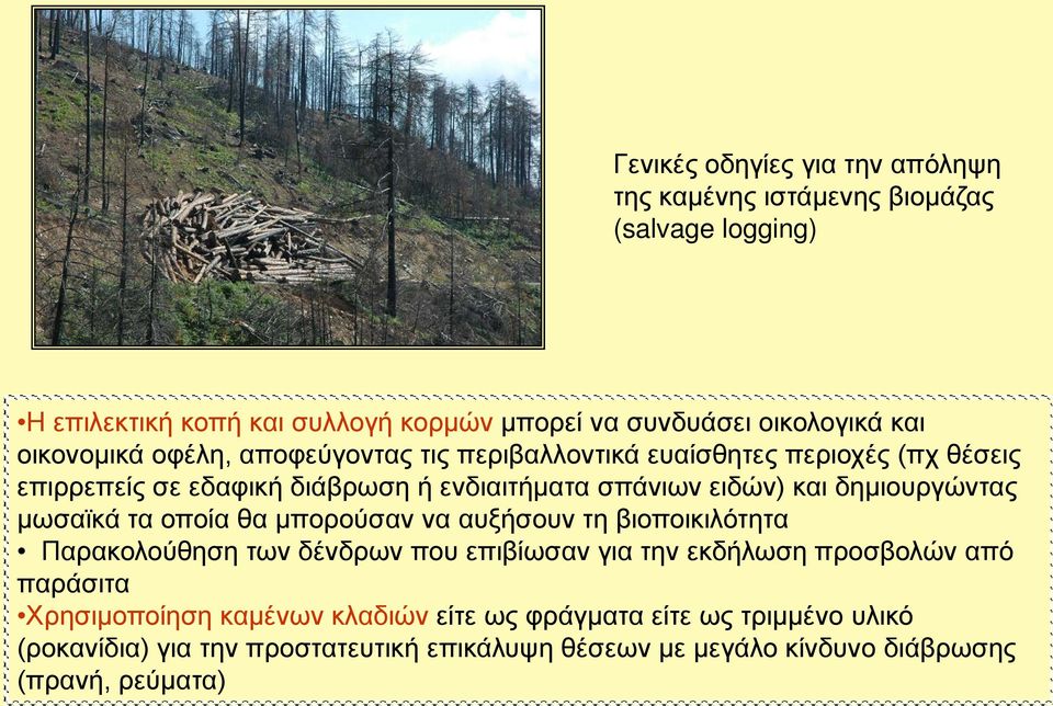 δημιουργώντας μωσαϊκά τα οποία θα μπορούσαν να αυξήσουν τη βιοποικιλότητα Παρακολούθηση των δένδρων που επιβίωσαν για την εκδήλωση προσβολών από παράσιτα
