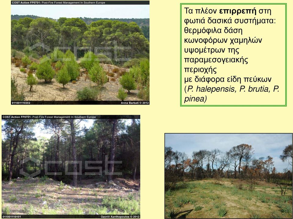 υψομέτρων της παραμεσογειακής περιοχής με
