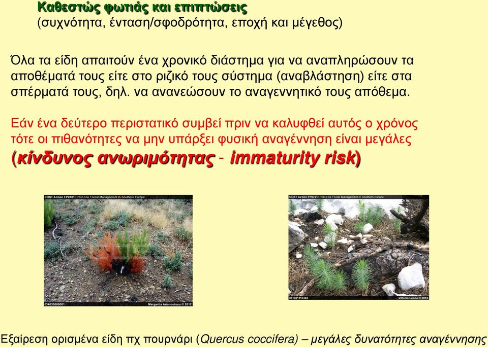 να ανανεώσουν το αναγεννητικό τους απόθεμα.