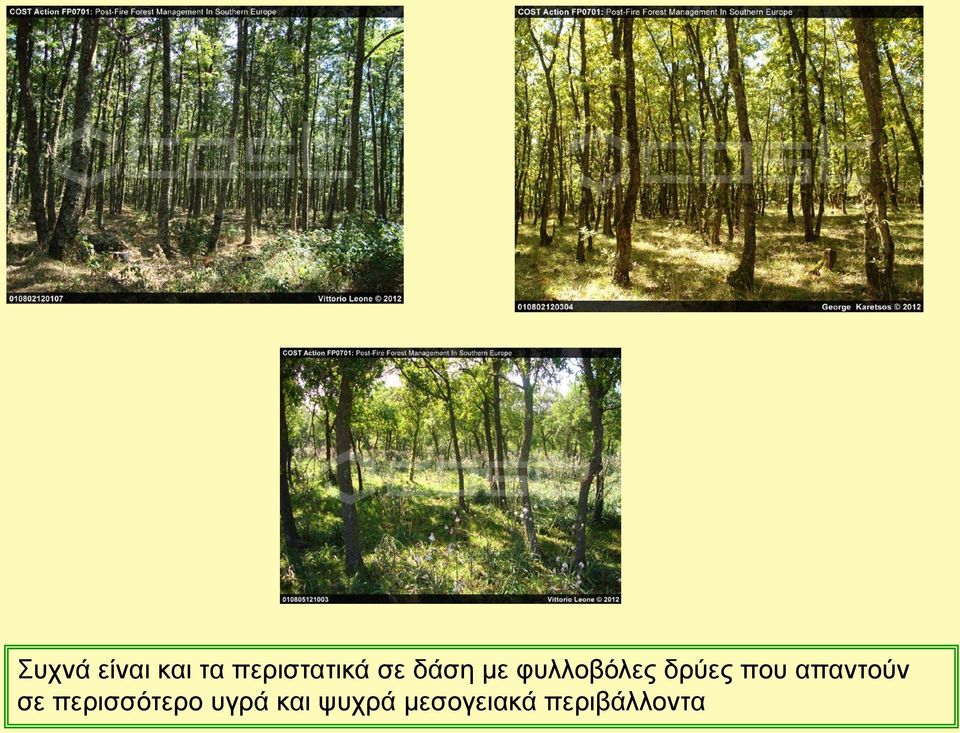 απαντούν σε περισσότερο υγρά