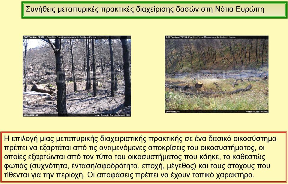 οι οποίες εξαρτώνται από τον τύπο του οικοσυστήματος που κάηκε, το καθεστώς φωτιάς (συχνότητα,