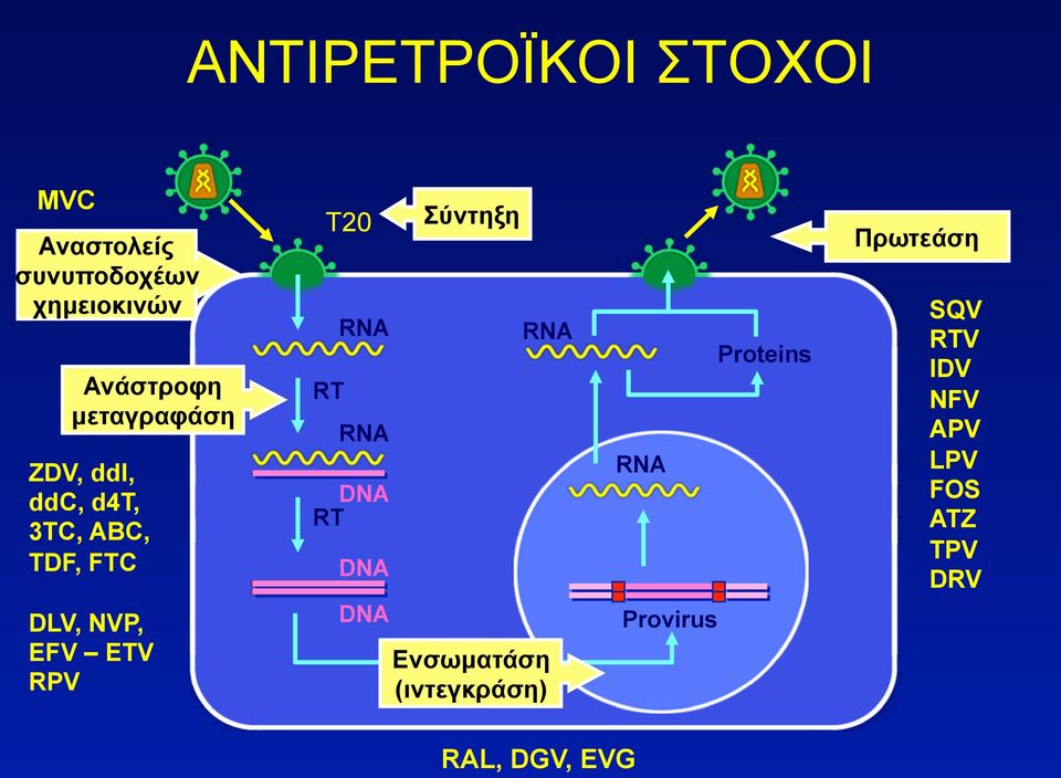 T20 RT RNA RNA DNA RT DNA DNA Σύντηξη RNA Ενσωµατάση (ιντεγκράση) RNA