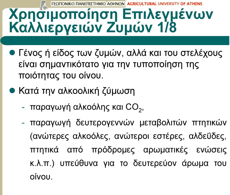 Κατά την αλκοολική ζύμωση - παραγωγή αλκοόλης και CO 2, - παραγωγή δευτερογεννών μεταβολιτών