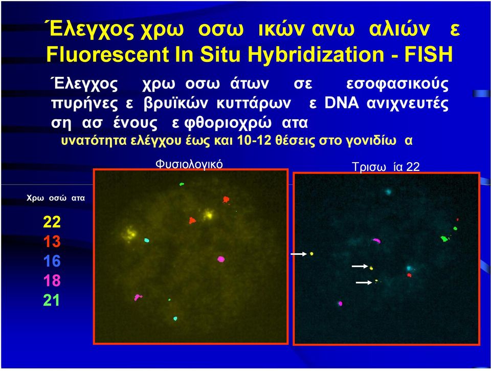 κυττάρων με DNA ανιχνευτές σημασμένους με φθοριοχρώματα Δυνατότητα ελέγχου