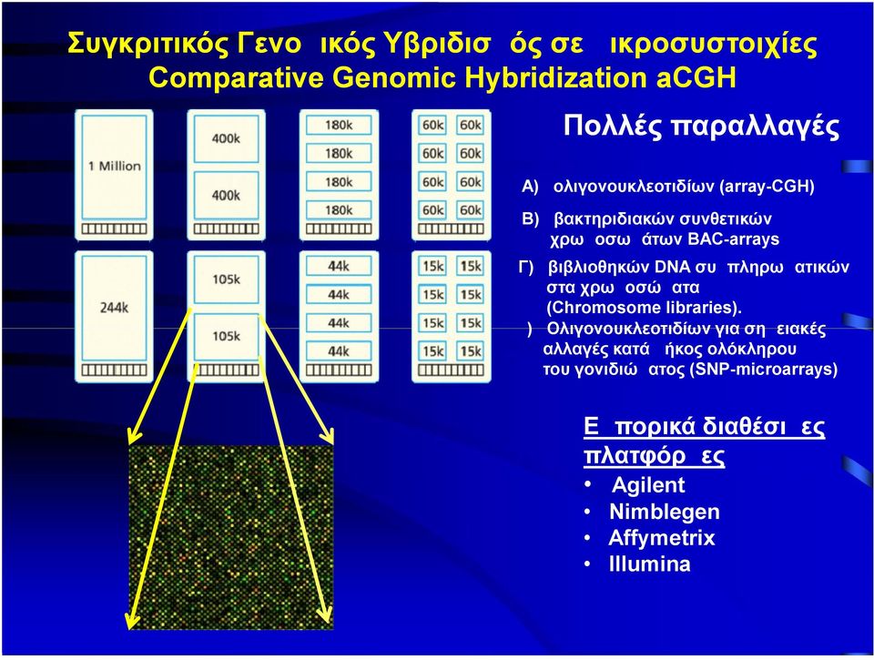 συμπληρωματικών στα χρωμοσώματα (Chromosome libraries).