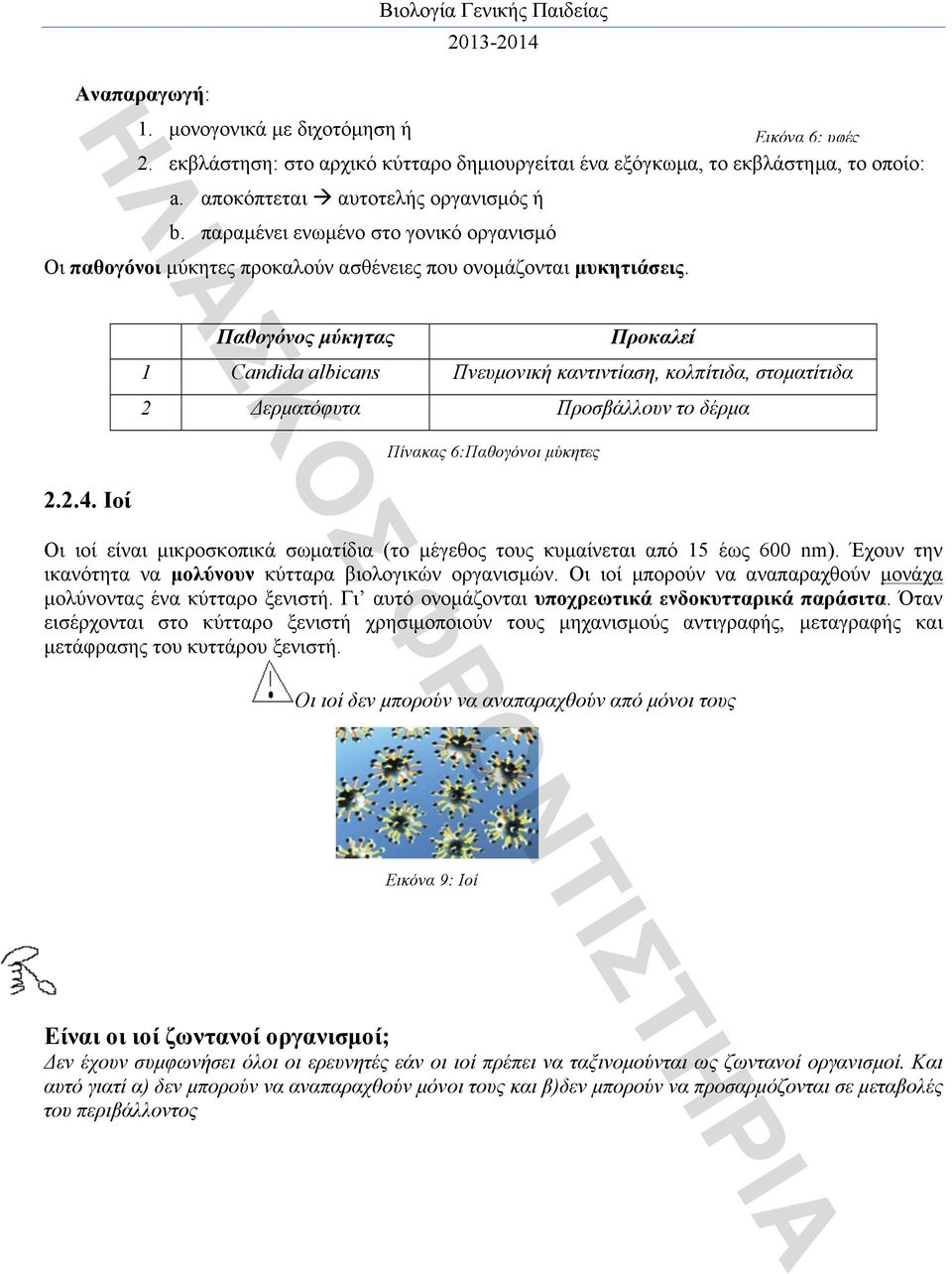 µ 1 Candida albicans µ,, µ µ µ 6: µ µ µ (