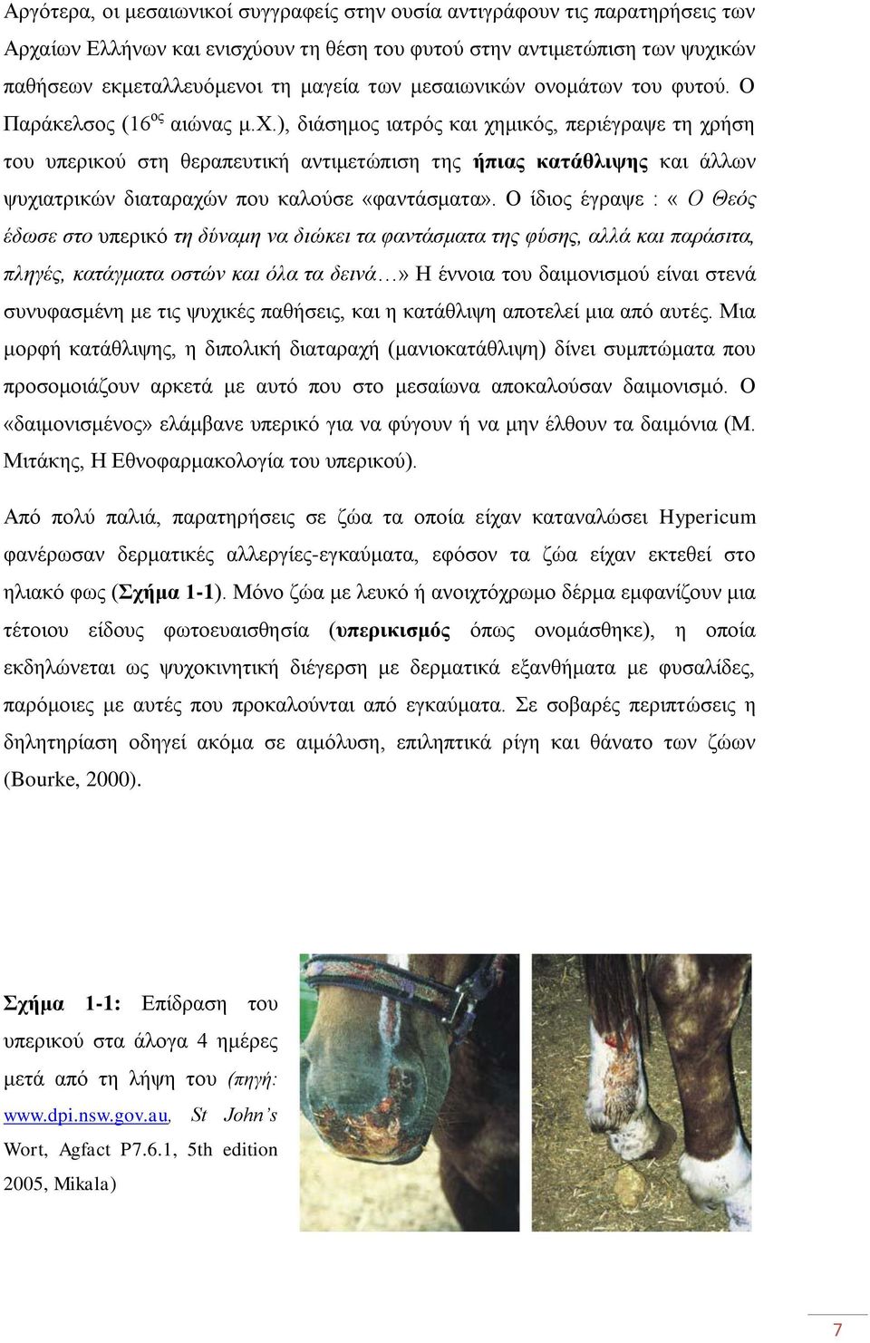 ), διάσημος ιατρός και χημικός, περιέγραψε τη χρήση του υπερικού στη θεραπευτική αντιμετώπιση της ήπιας κατάθλιψης και άλλων ψυχιατρικών διαταραχών που καλούσε «φαντάσματα».