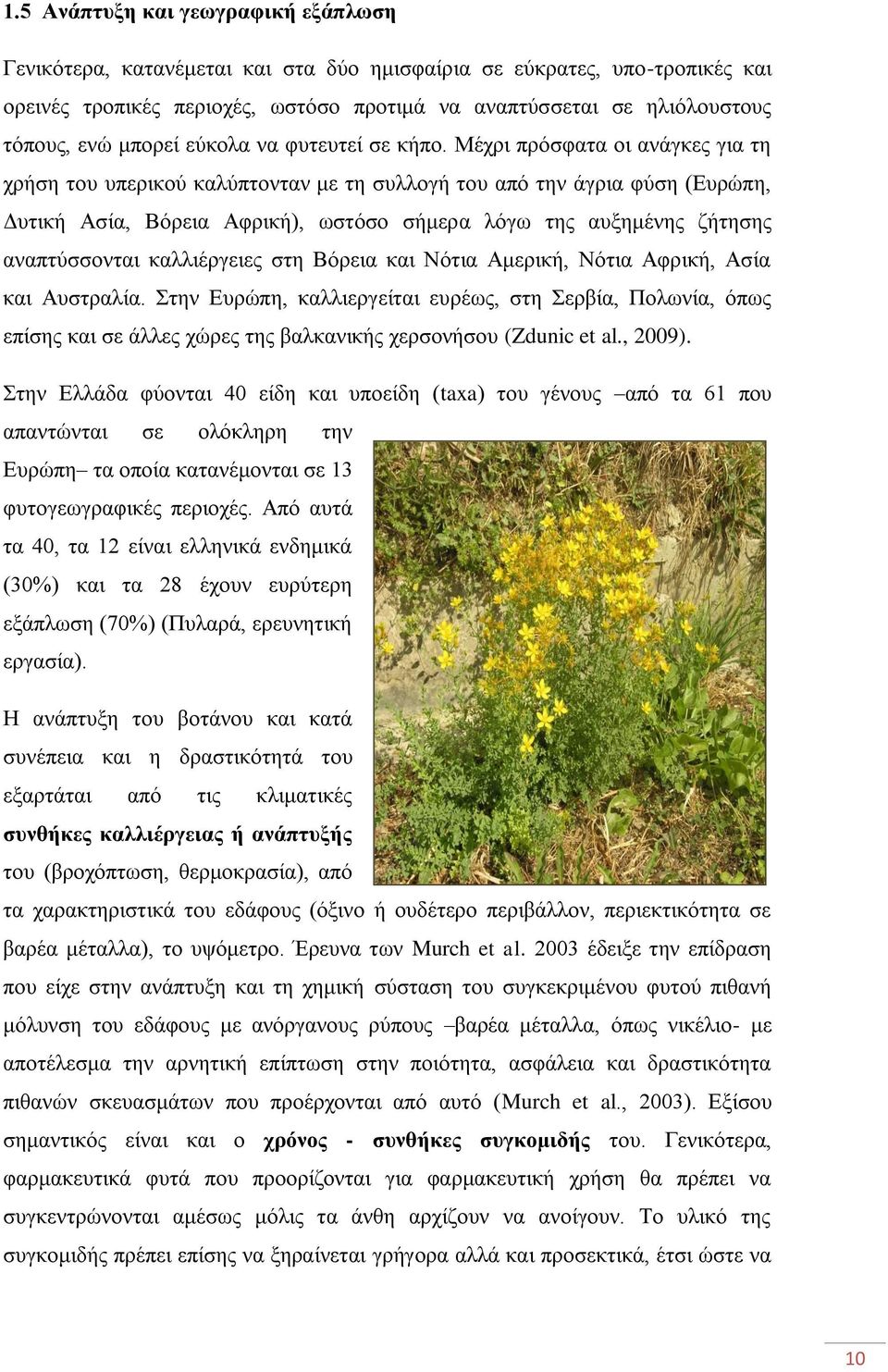 Μέχρι πρόσφατα οι ανάγκες για τη χρήση του υπερικού καλύπτονταν με τη συλλογή του από την άγρια φύση (Ευρώπη, Δυτική Ασία, Βόρεια Αφρική), ωστόσο σήμερα λόγω της αυξημένης ζήτησης αναπτύσσονται