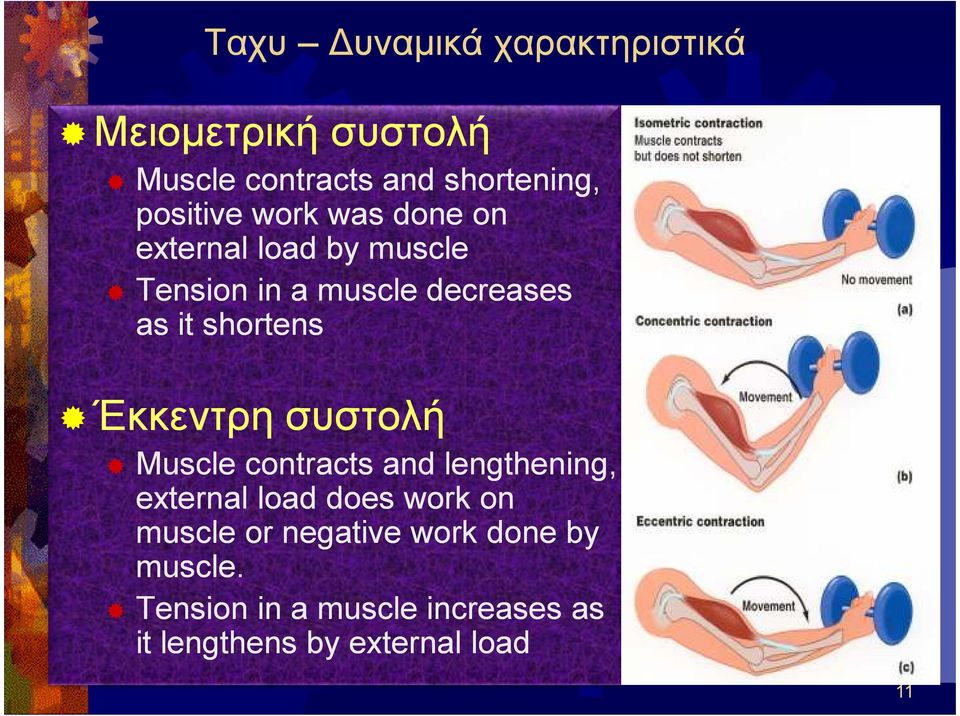συστολή συστολή Muscle contracts and lengthening, external load does work on muscle or