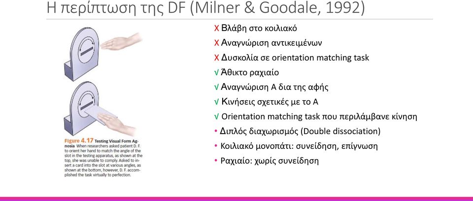 της αφής Κινήσεις σχετικές με το Α Orientation matching task που περιλάμβανε κίνηση