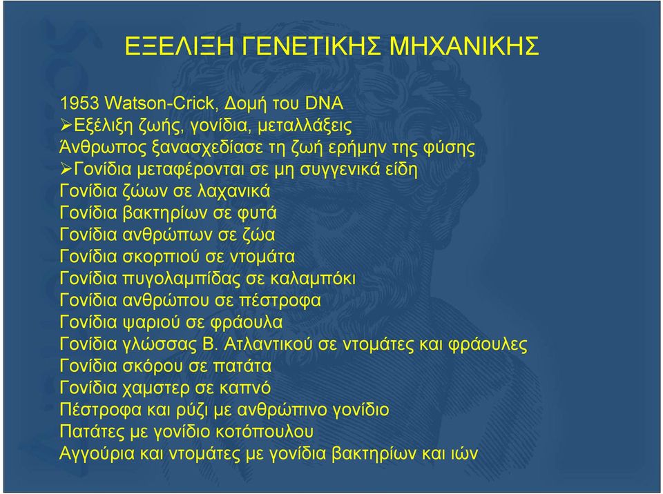 πυγολαμπίδας σε καλαμπόκι Γονίδια ανθρώπου σε πέστροφα Γονίδια ψαριού σε φράουλα Γονίδια γλώσσας Β.