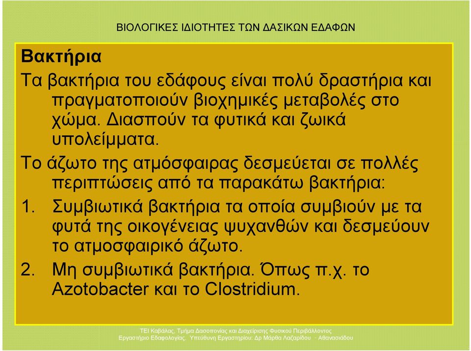 Το άζωτο της ατμόσφαιρας δεσμεύεται σε πολλές περιπτώσεις από τα παρακάτω βακτήρια: 1.